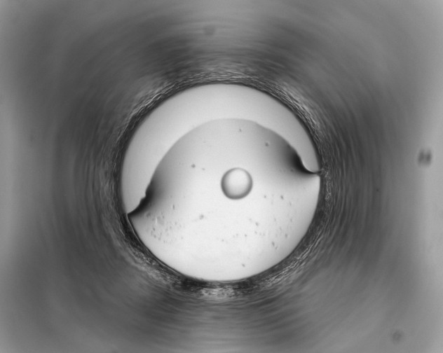 X0000098110362200805021138