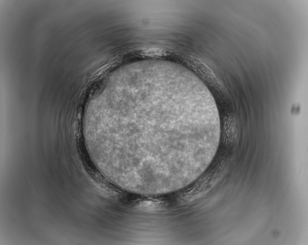 X0000098110364200805021138