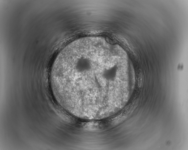 X0000098110366200805021138