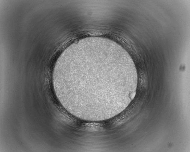 X0000098110367200805021138