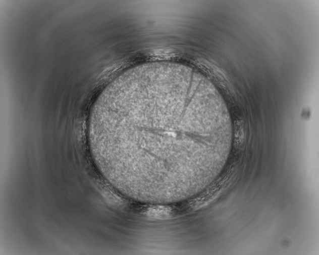 X0000098110369200805021138