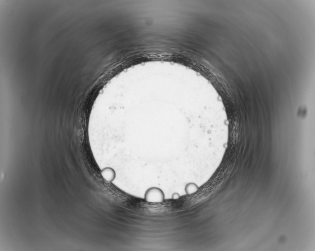 X0000098110370200805021138