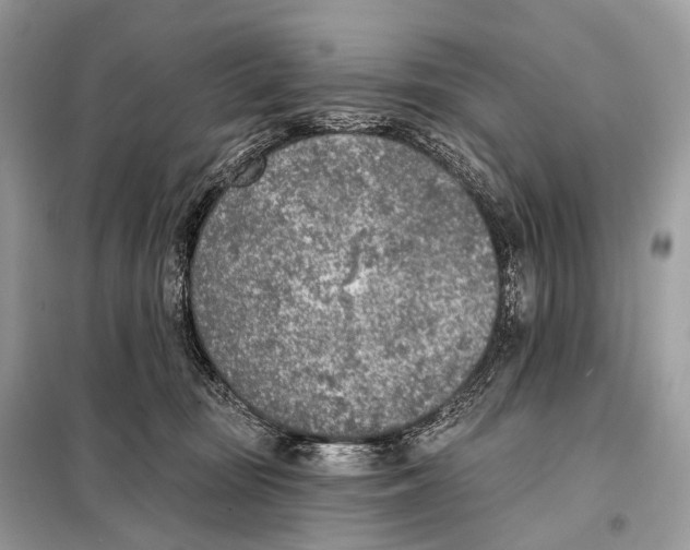 X0000098110371200805021138