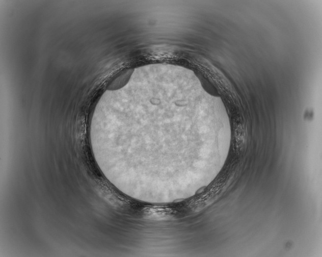 X0000098110372200805021138