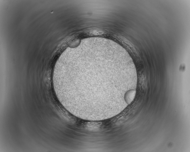 X0000098110373200805021138