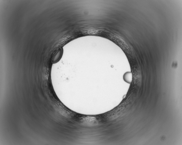 X0000098110374200805021138