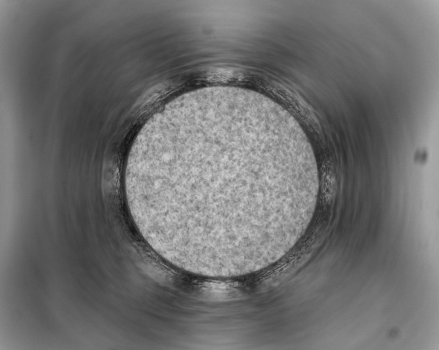 X0000098110375200805021138