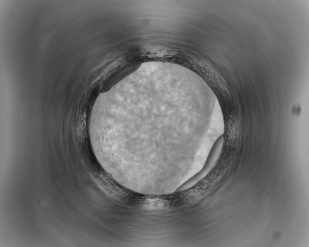 X0000098110376200805021138