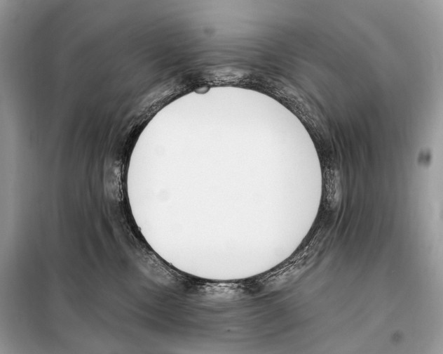 X0000098110378200805021138