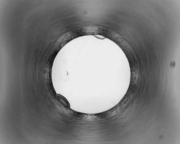 X0000098110379200805021138