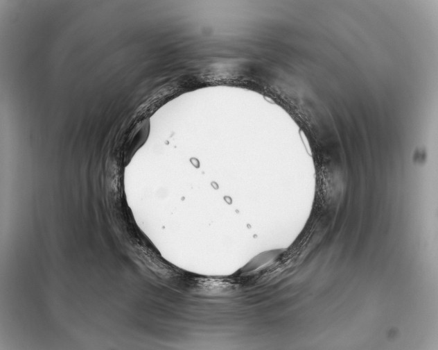 X0000098110380200805021138