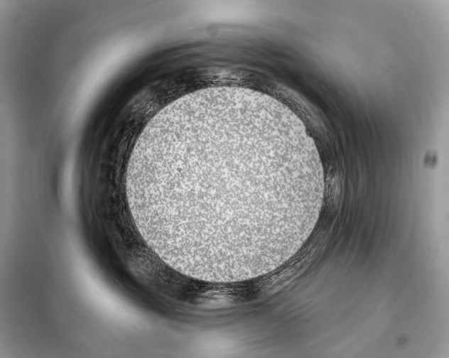 X0000098110381200805021138