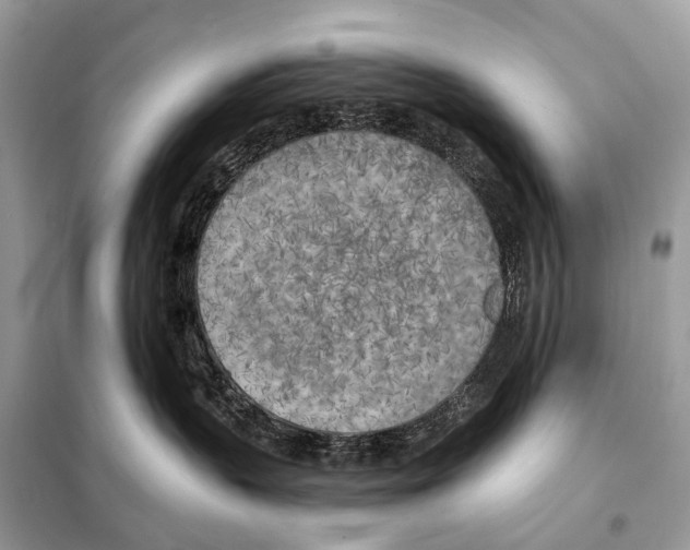 X0000098110383200805021138