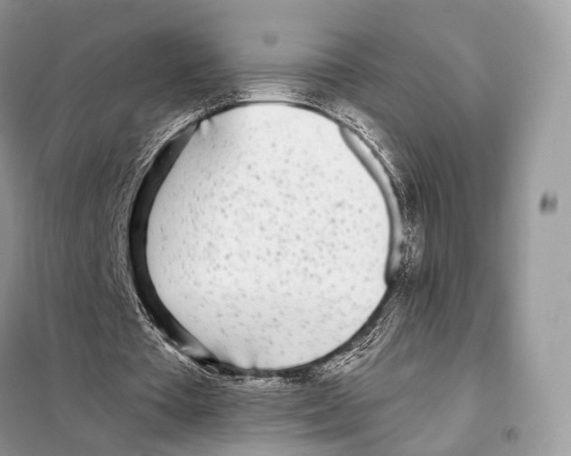 X0000098110385200805021138