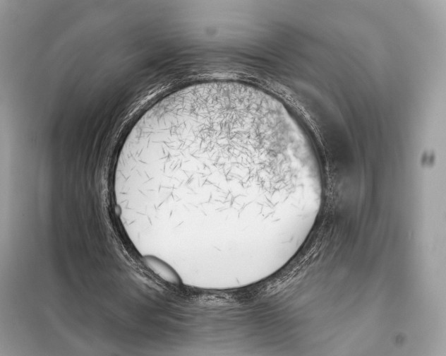X0000098110386200805021138