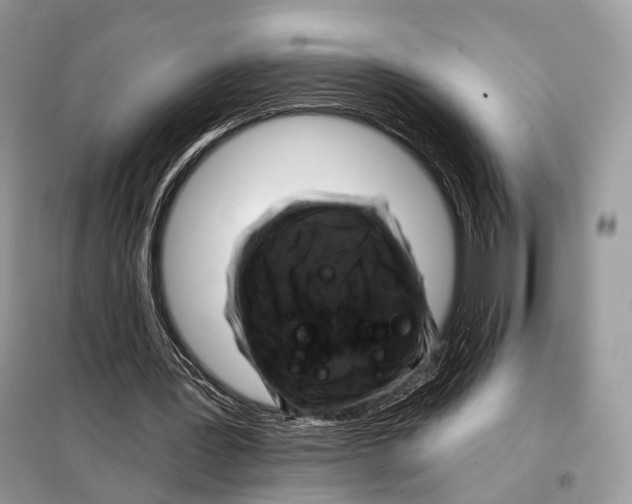 X0000098110387200805021138