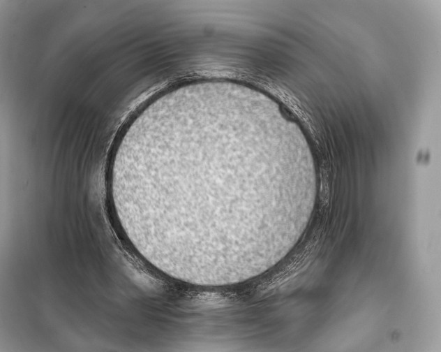 X0000098110390200805021138