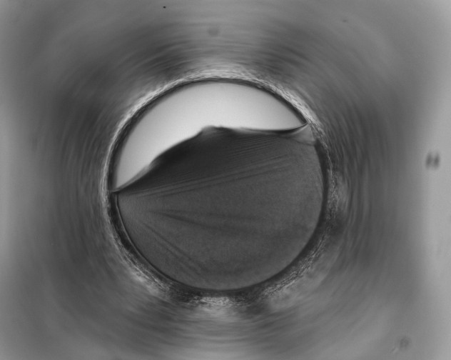 X0000098110391200805021138