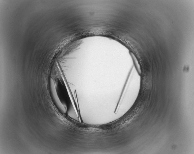 X0000098110393200805021137