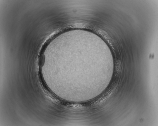 X0000098110395200805021137