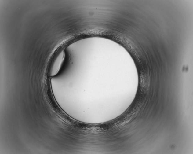 X0000098110396200805021137