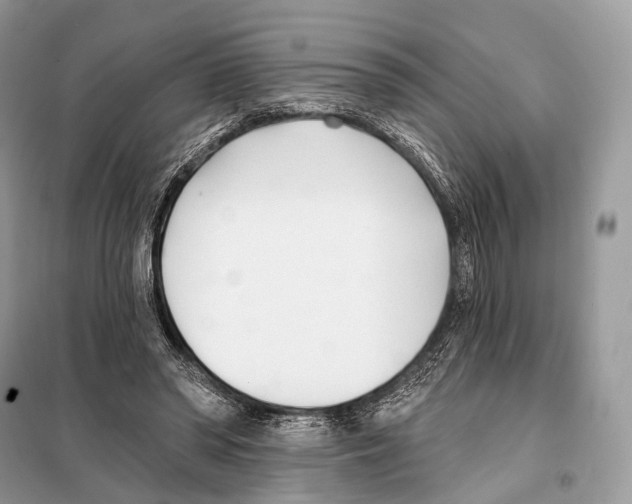 X0000098110398200805021137