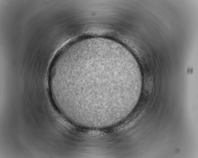 X0000098110399200805021137