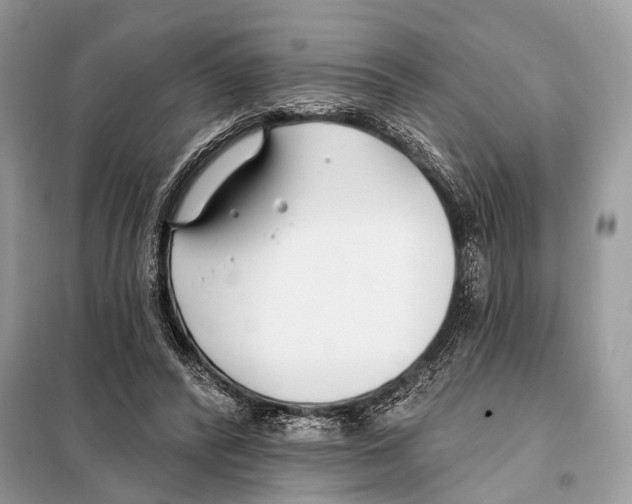 X0000098110400200805021137