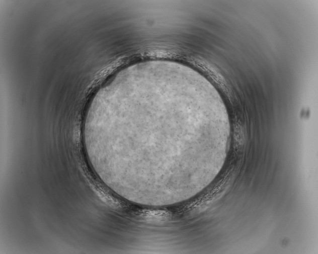 X0000098110401200805021137