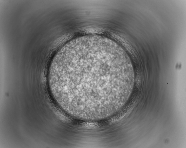 X0000098110402200805021137