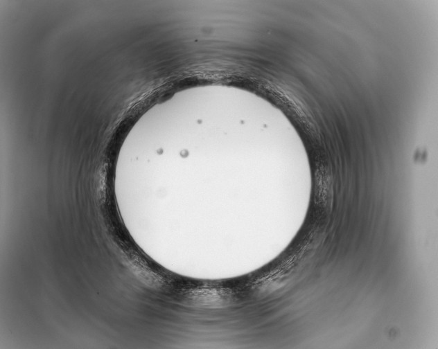 X0000098110404200805021137