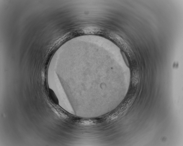 X0000098110405200805021137