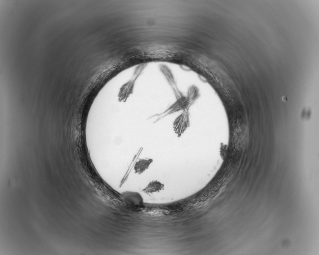 X0000098110407200805021137