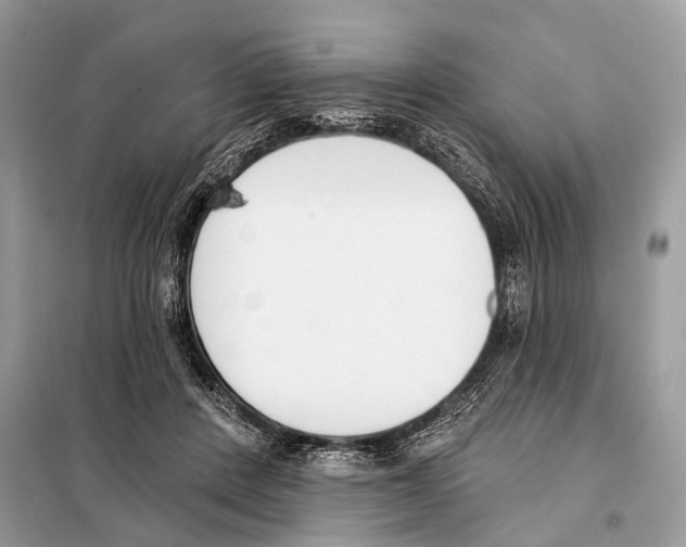 X0000098110408200805021137