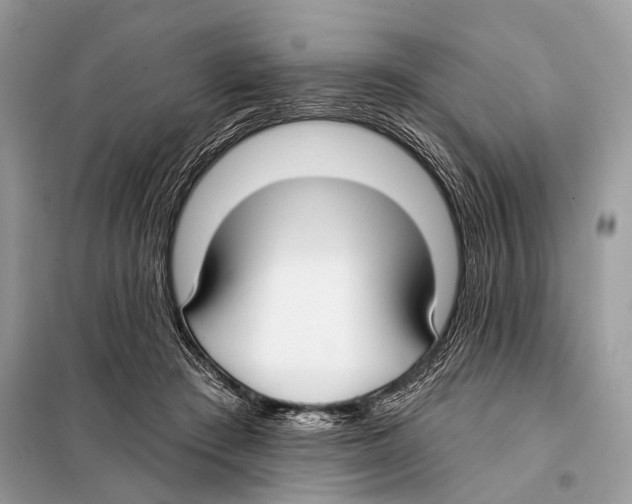 X0000098110409200805021137