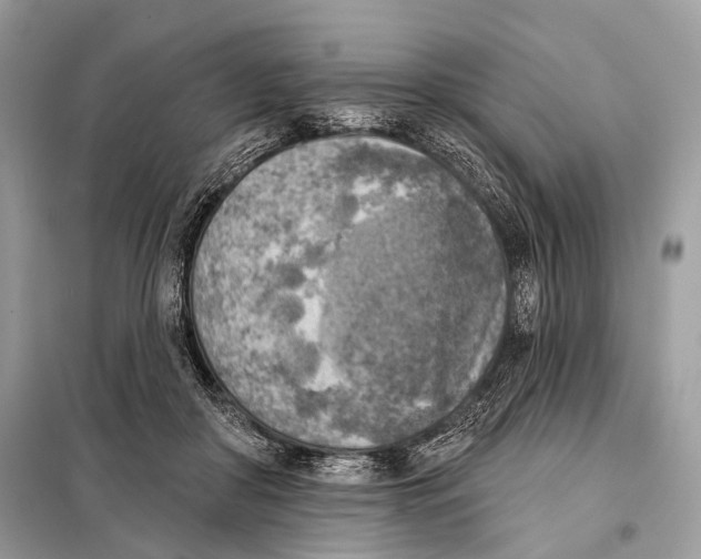 X0000098110410200805021137