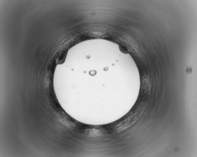 X0000098110412200805021137