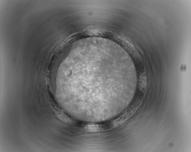 X0000098110413200805021137