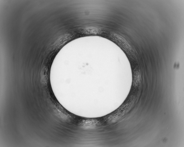 X0000098110414200805021137