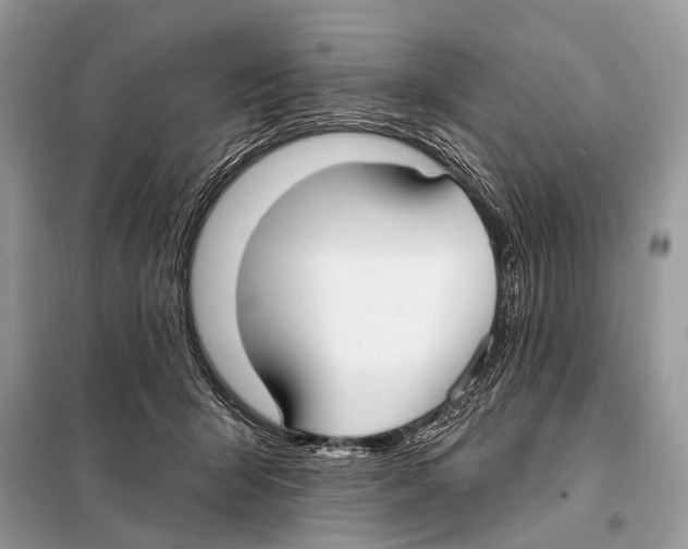 X0000098110415200805021137