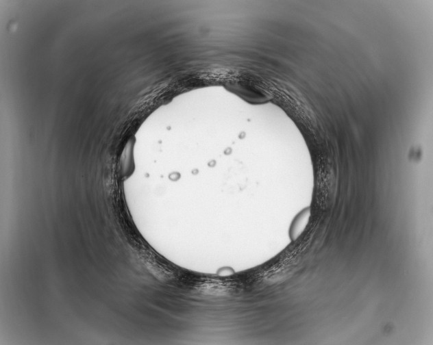 X0000098110416200805021137