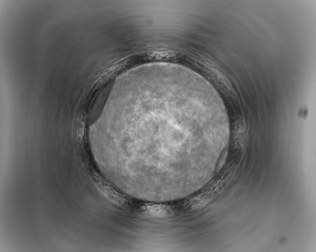 X0000098110417200805021137