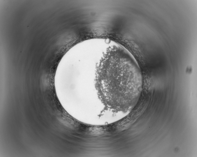 X0000098110419200805021137