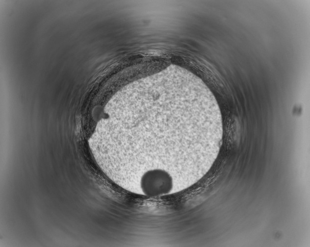 X0000098110420200805021137