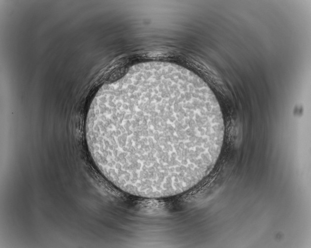 X0000098110421200805021137