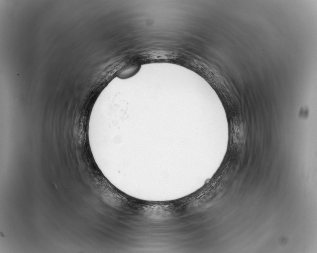 X0000098110422200805021137