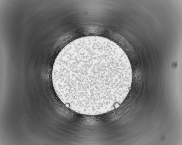 X0000098110423200805021137