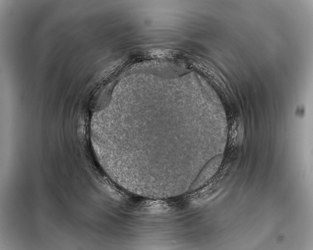 X0000098110424200805021137