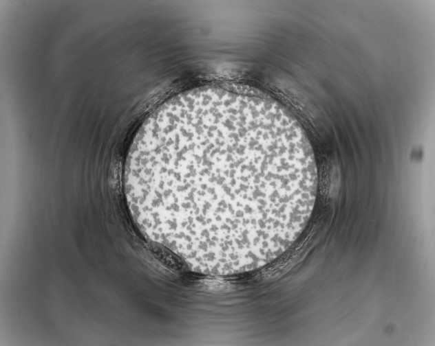 X0000098110425200805021137