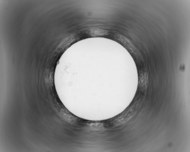 X0000098110426200805021137